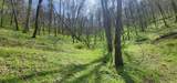 0 Chapman Hollow Rd - Photo 4