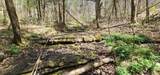 0 Chapman Hollow Rd - Photo 6