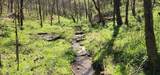 0 Chapman Hollow Rd - Photo 8