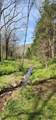 0 Chapman Hollow Rd - Photo 9