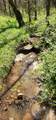 0 Chapman Hollow Rd - Photo 10