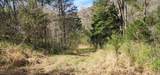 0 Wilson Hollow Rd - Photo 3