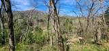 0 Wilson Hollow Rd - Photo 4