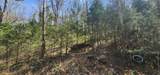 0 Wilson Hollow Rd - Photo 5