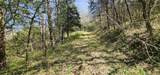 0 Wilson Hollow Rd - Photo 9