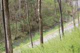 2 Riverbend Lane - Photo 36