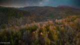 4210 Mountain Rest Way - Photo 42