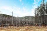 1661 Sassafras Stand Ridge Rd - Photo 2