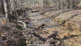 1661 Sassafras Stand Ridge Rd - Photo 3