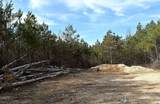 1661 Sassafras Stand Ridge Rd - Photo 25