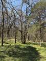 855 Lick Creek Rd - Photo 38
