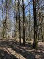 855 Lick Creek Rd - Photo 40