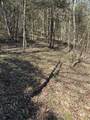 855 Lick Creek Rd - Photo 44