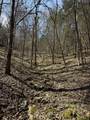 855 Lick Creek Rd - Photo 46