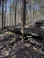 855 Lick Creek Rd - Photo 48