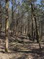 855 Lick Creek Rd - Photo 49