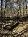 855 Lick Creek Rd - Photo 54