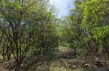 227 Spero Rd - Photo 33