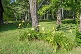 1825 Elkton Pike - Photo 44