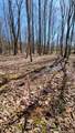 0 Raulston Falls Road - Photo 15