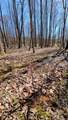 0 Raulston Falls (Sv306) Road - Photo 10