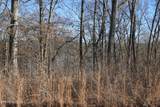 0 E Shore Drive - Photo 9