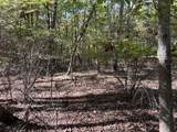 0 Cooleys Rift Blvd - Photo 11
