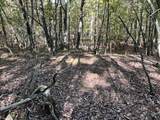 0 Cooleys Rift Blvd - Photo 13