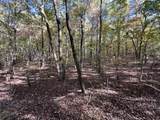 0 Cooleys Rift Blvd - Photo 15