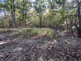 0 Cooleys Rift Blvd - Photo 16
