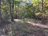 0 Cooleys Rift Blvd - Photo 17