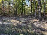 0 Cooleys Rift Blvd - Photo 19