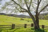 1839 Polly Adams Rd - Photo 45