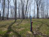 13 Shelton Cemetery Road - Photo 2