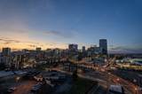 20 Rutledge St - Photo 42