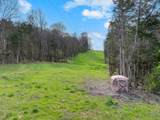 0 Shelbyville Highway - Photo 2