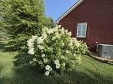 646 Indian Creek Rd - Photo 86
