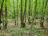 235 County Road - Photo 1