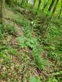 235 County Road - Photo 3