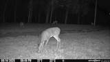 0 Atkinson Rd - Photo 16