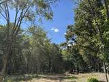 0 Atkinson Road - Photo 21
