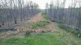 0 Bell Hollow Road - Photo 30