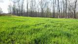 0 Bell Hollow Road - Photo 4