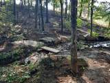 220 Bear Crawl Road - Photo 64