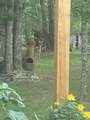 2023 Wayland Springs Rd - Photo 17