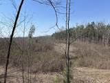 2023 Wayland Springs Rd - Photo 31