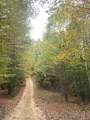 2023 Wayland Springs Rd - Photo 7