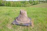 3915 Oak Ridge Rd - Photo 13