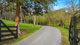 3360 Sweeney Hollow Rd - Photo 2