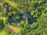 3360 Sweeney Hollow Rd - Photo 66